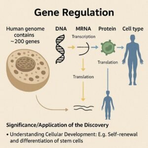 discovery ofmicroRNA and its role in post-transcriptional Gene Regulation