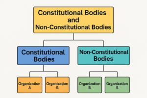 Flowchart showing the classification of constitutional and non-constitutional bodies in India